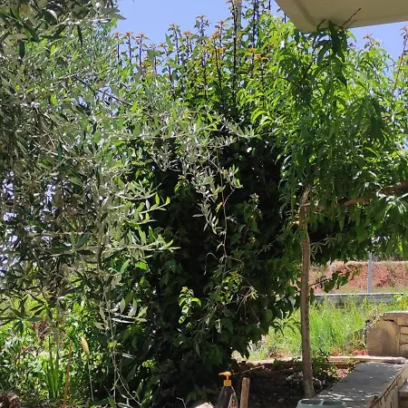 Dimitras 2 Bedroom *