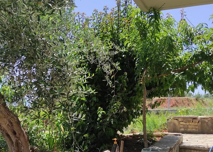 Dimitras 2 Bedroom *